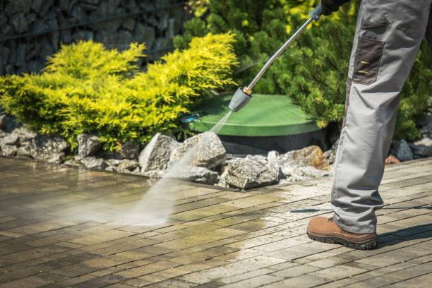  Avoca, PA Pressure Washing Pros