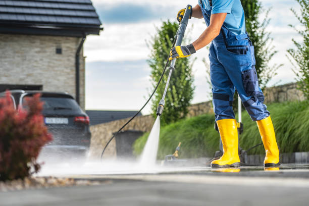 Best House Exterior Washing  in Avoca, PA